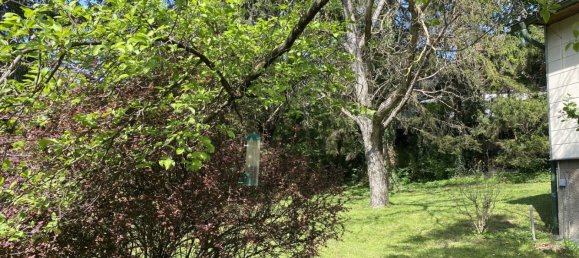 Terreno em Klosterneuburg, Austria N.º 244004 7