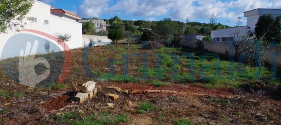 Земельный участок 1599м² в Matino, Италия № 88889 2