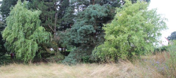 Дом с 5 комнатами в Северная Саксония, Германия № 244385 17