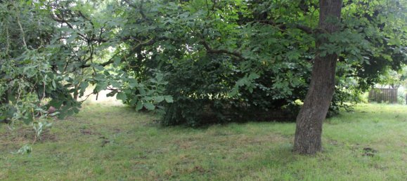 Дом с 5 комнатами в Северная Саксония, Германия № 244385 15