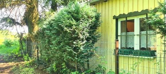 Студия в Восточный Пригниц-Руппин, Германия № 228162 2