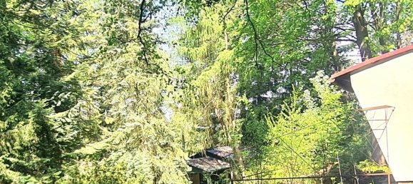 Студия в Восточный Пригниц-Руппин, Германия № 228162 6