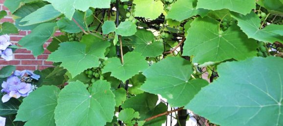 Casa T3 em Wandsbek, Germany N.º 231953 7