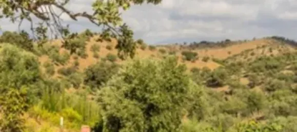 5 bedrooms House in Alora, Spain No. 72259 49