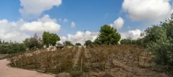 5 bedrooms House in Alora, Spain No. 72259 48