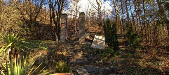 Terrain à Langenzersdorf, Austria No. 167130 2