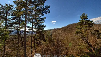 Terrain à Langenzersdorf, Austria No. 167130