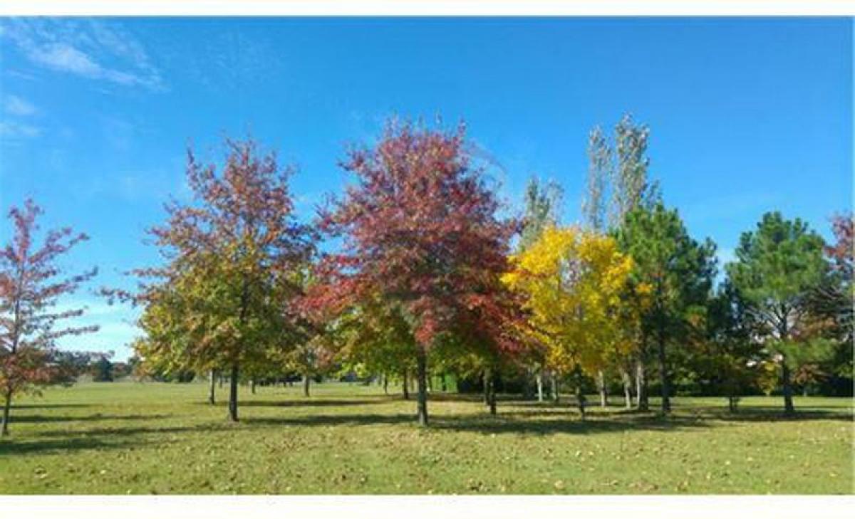  Land in Pilar, Argentina No. 121111