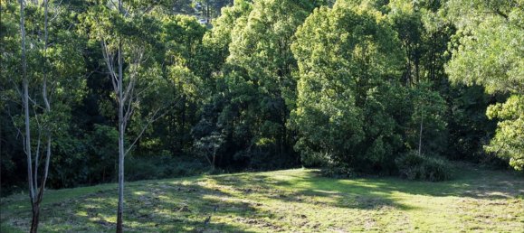 Земельный участок 5075м² в Nimbin, Австралия № 419 2