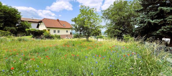 Grundstück in Klosterneuburg, Austria, Nr. 160125 2