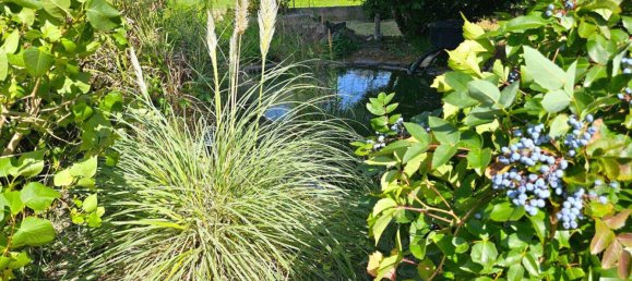 Casa de 3 divisões em Katzelsdorf, Austria N.º 234432 35