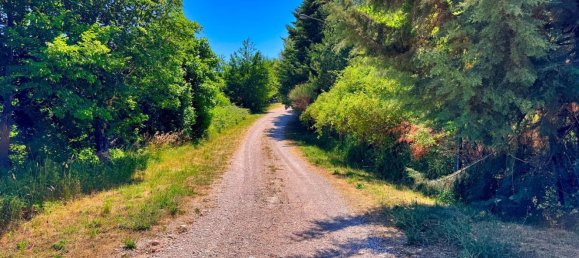 6 rooms Villa in San Ginesio, Italy No. 294858 50