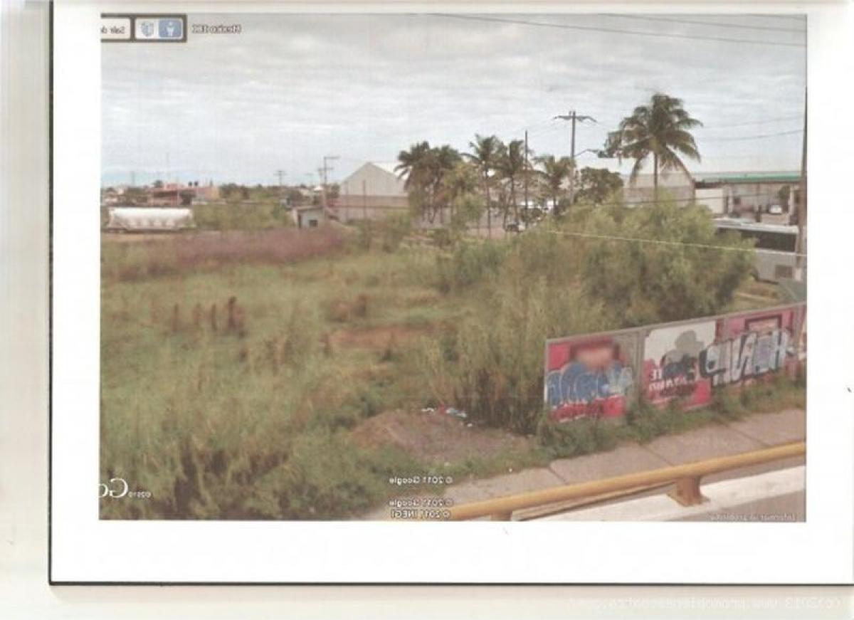  Land in Veracruz, Mexico No. 206830