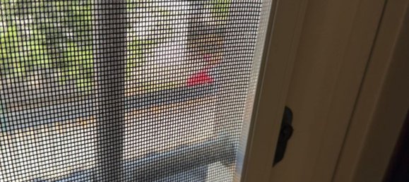 7غرفة منزل في Ladispoli, Italy رقم 259053 35