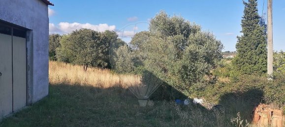 3 Schlafzimmer Haus in Torres Novas, Portugal, Nr. 174199 3
