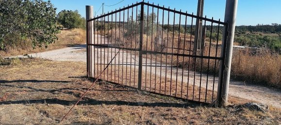 3 Schlafzimmer Haus in Torres Novas, Portugal, Nr. 174199 10