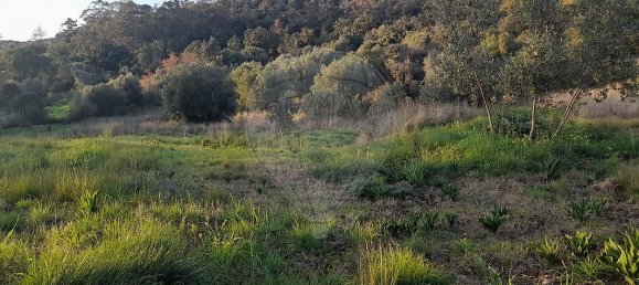 3 Schlafzimmer Haus in Torres Novas, Portugal, Nr. 174199 25