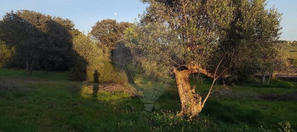 3 Schlafzimmer Haus in Torres Novas, Portugal, Nr. 174199 18