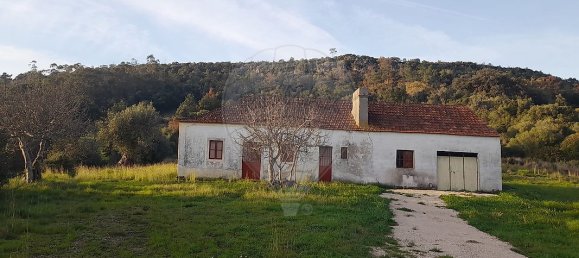 3 Schlafzimmer Haus in Torres Novas, Portugal, Nr. 174199 12