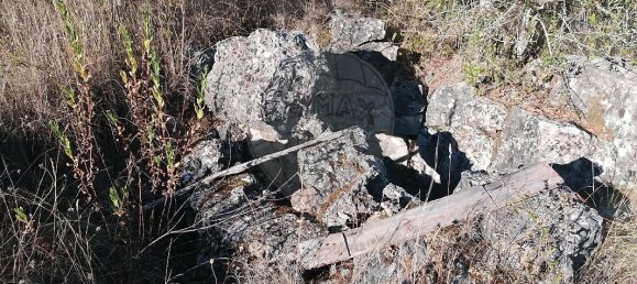 3 Schlafzimmer Haus in Torres Novas, Portugal, Nr. 174199 8