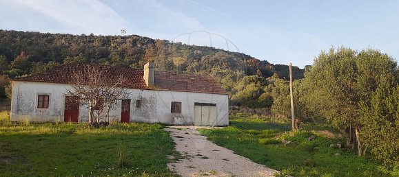 3 Schlafzimmer Haus in Torres Novas, Portugal, Nr. 174199 11