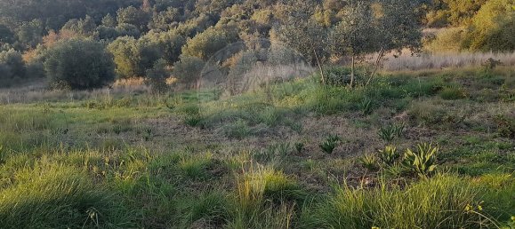 3 Schlafzimmer Haus in Torres Novas, Portugal, Nr. 174199 22