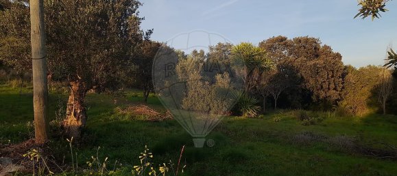 3 Schlafzimmer Haus in Torres Novas, Portugal, Nr. 174199 24