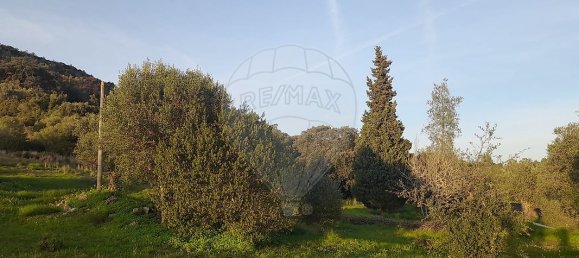 3 Schlafzimmer Haus in Torres Novas, Portugal, Nr. 174199 23