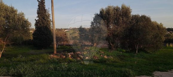 3 Schlafzimmer Haus in Torres Novas, Portugal, Nr. 174199 17