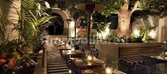 Коммерческая недвижимость с 5 комнатами в Рим, Италия № 50127 28