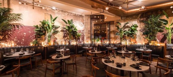 Коммерческая недвижимость с 5 комнатами в Рим, Италия № 50127 4