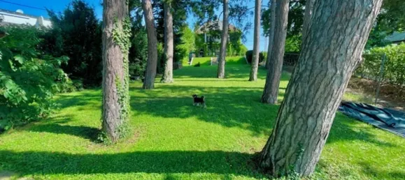 6 rooms Villa in Dobling, Austria No. 199280 28