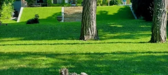 6 rooms Villa in Dobling, Austria No. 199280 31