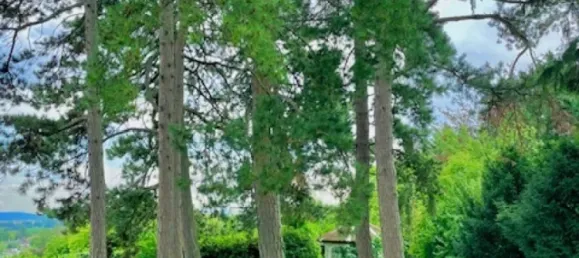 6 rooms Villa in Dobling, Austria No. 199280 12