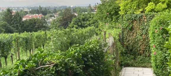 6 rooms Villa in Dobling, Austria No. 199280 3