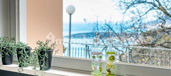 4 Schlafzimmer Villa in Ventimiglia, Italy, Nr. 313313 6