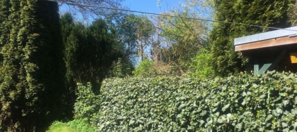 2 غرف نوم منزل في Ostholstein, Germany رقم 104173 12