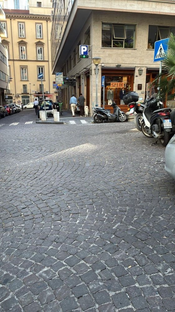 Propriété commerciale à Naples, Italy 15m² No. 334790