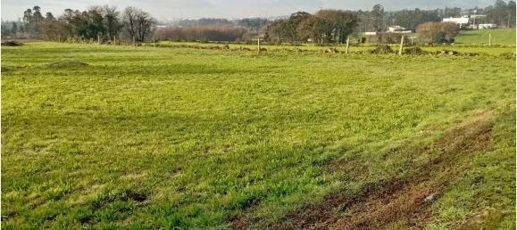 5572m² Land in Maia, Portugal No. 103889 4