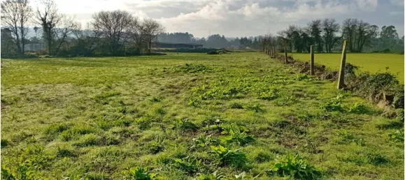 5572m² Land in Maia, Portugal No. 103889 5