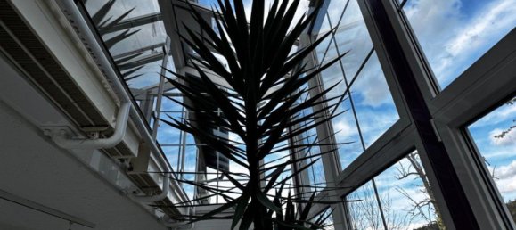 3 غرف نوم تاون هاوس في Rhein-Neckar-Kreis, Germany رقم 228000 7