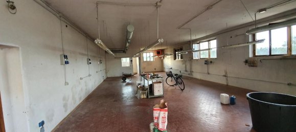 5غرفة مستودع في Cerreto Guidi, Italy رقم 160243 8