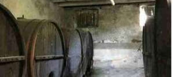 18 bedrooms Villa in Pescia, Italy No. 334834 4