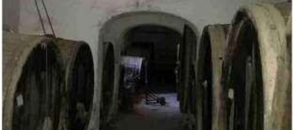 18 bedrooms Villa in Pescia, Italy No. 334834 3