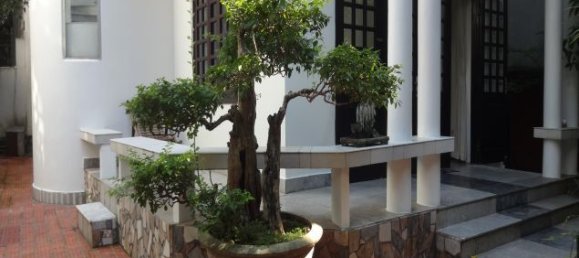 Дом с 3 спальнями в Тэйхо, Вьетнам № 5174 13