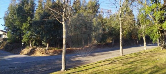 Terreno em Felgueiras, Portugal 8580 m² N.º 45838 4