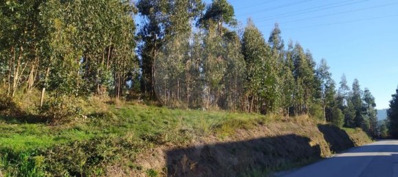 Terreno em Felgueiras, Portugal 8580 m² N.º 45838 5