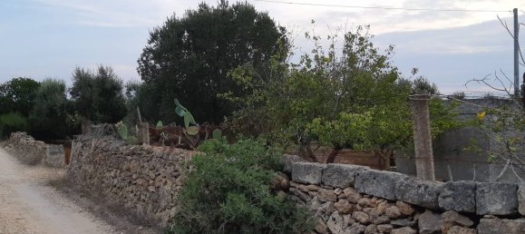 Grundstück in Manduria, Italy 6189m², Nr. 20763 3