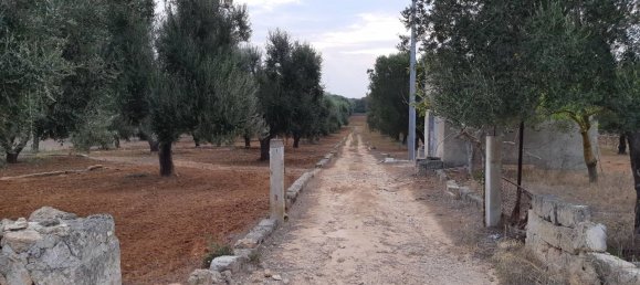 Grundstück in Manduria, Italy 6189m², Nr. 20763 2