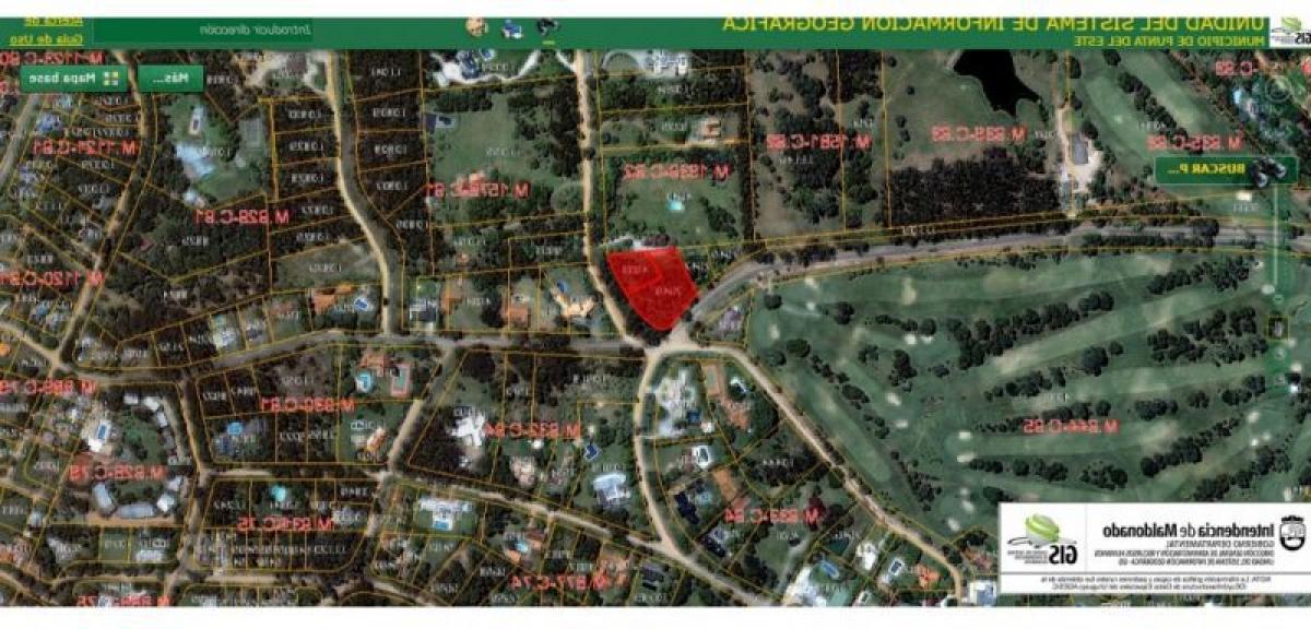  قطعة أرض في Maldonado, Uruguay رقم 15607